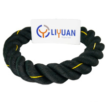 Low Temperature Resistant 3/4 Strand PE Twisted Rope for Outdoor
